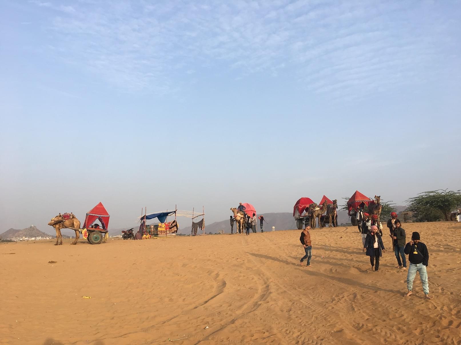 Delhi Technical Campus Greater Noida Extra Curriculars photo 14