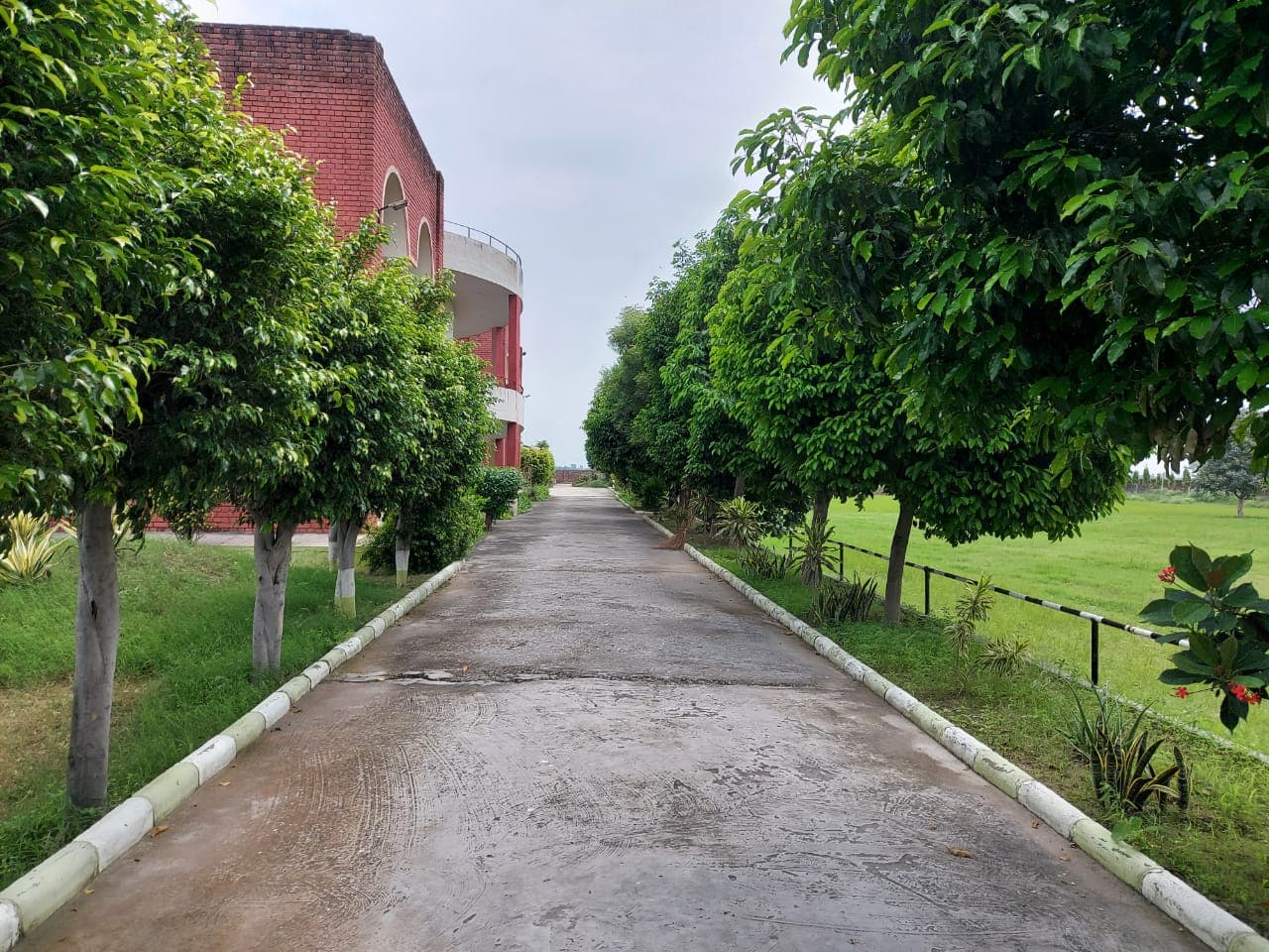 Green Wood College of Education Karnal Campus photo 13