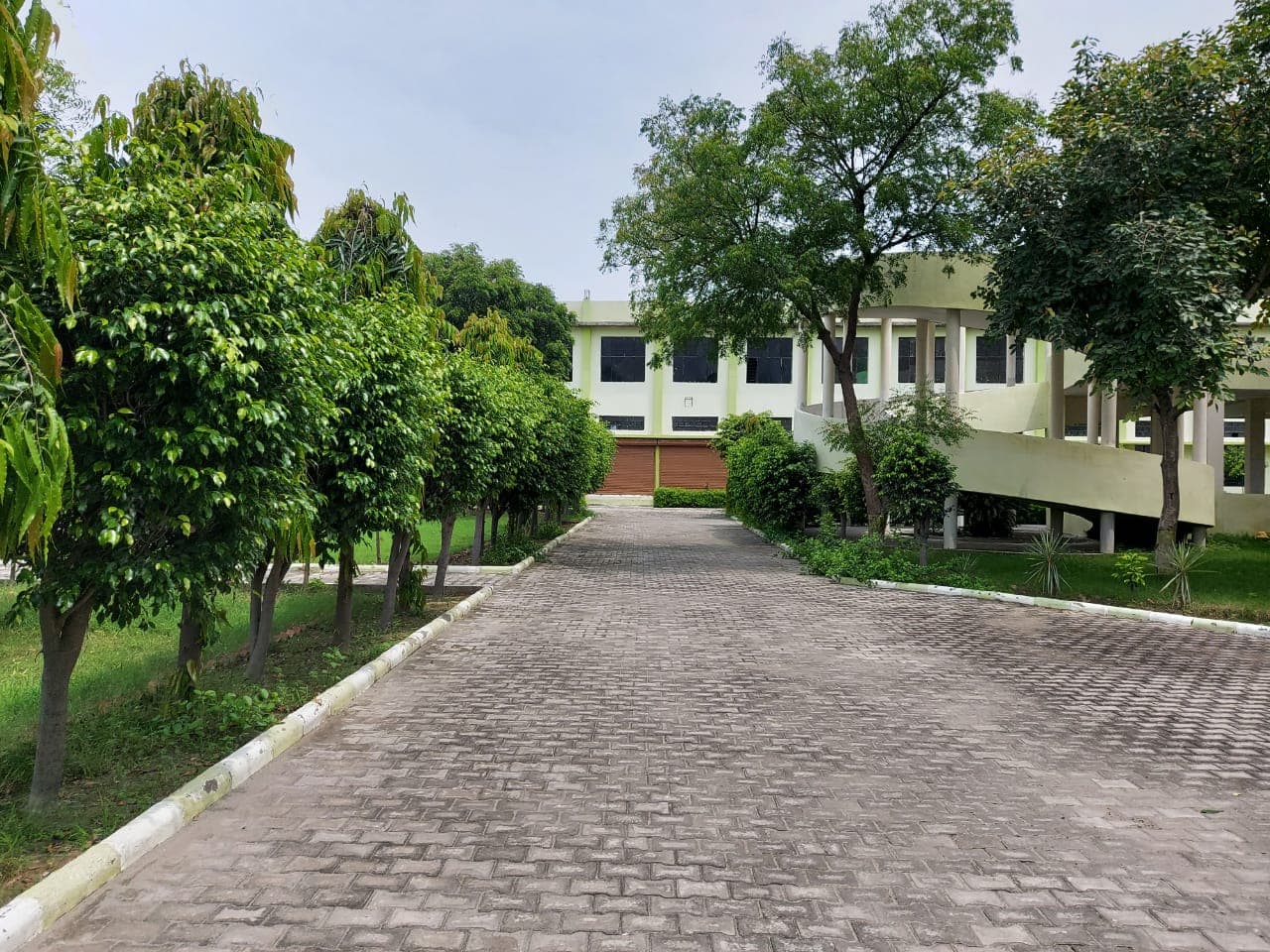 Green Wood College of Education Karnal Campus photo 18