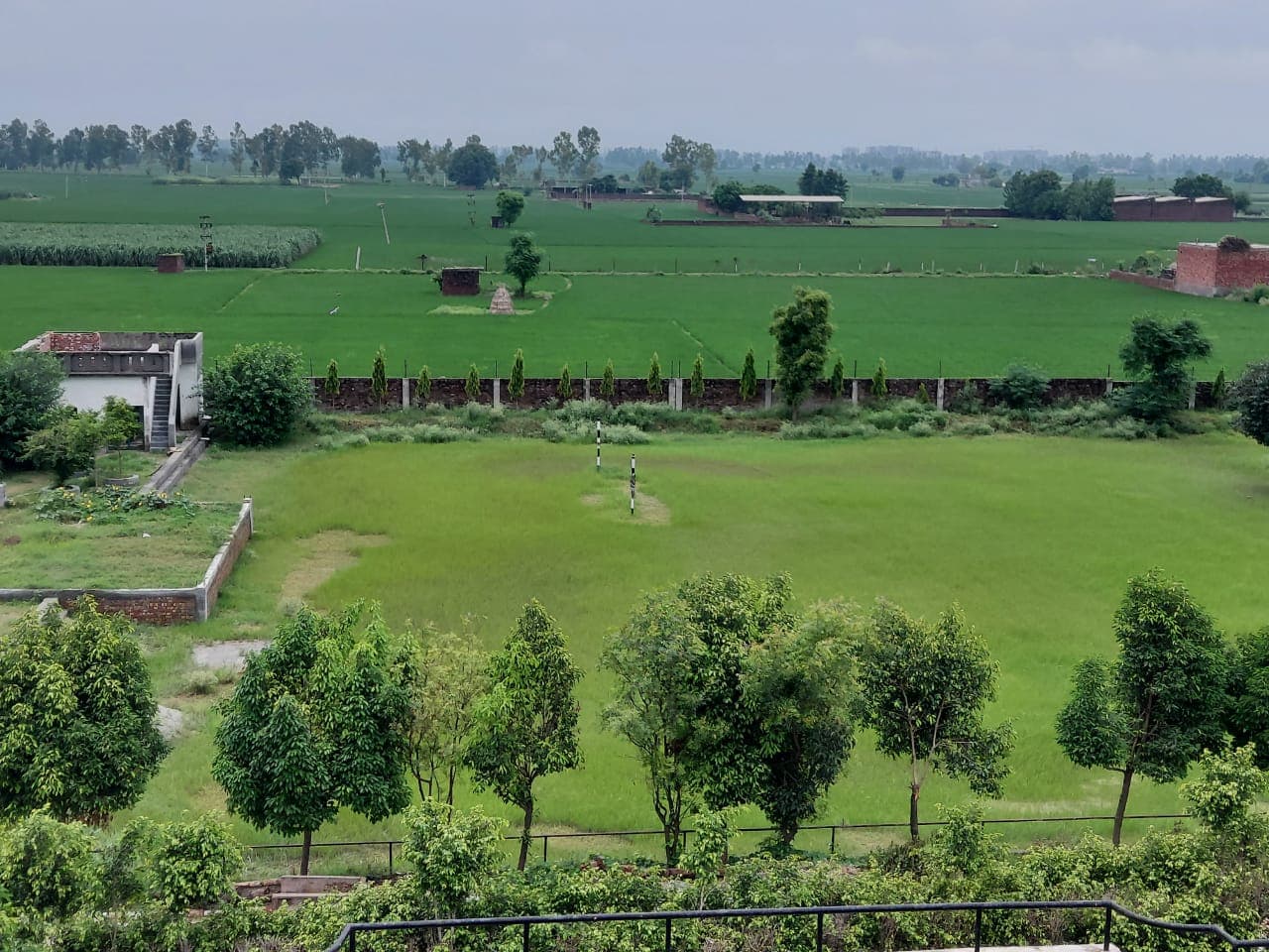 Green Wood College of Education Karnal Campus photo 22