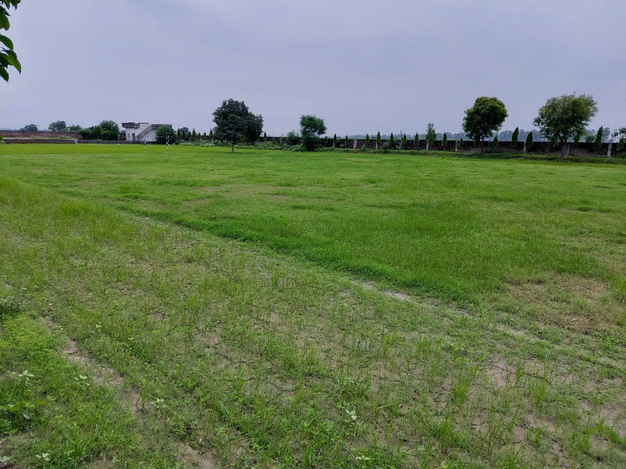 Green Wood College of Education Karnal Campus photo 35