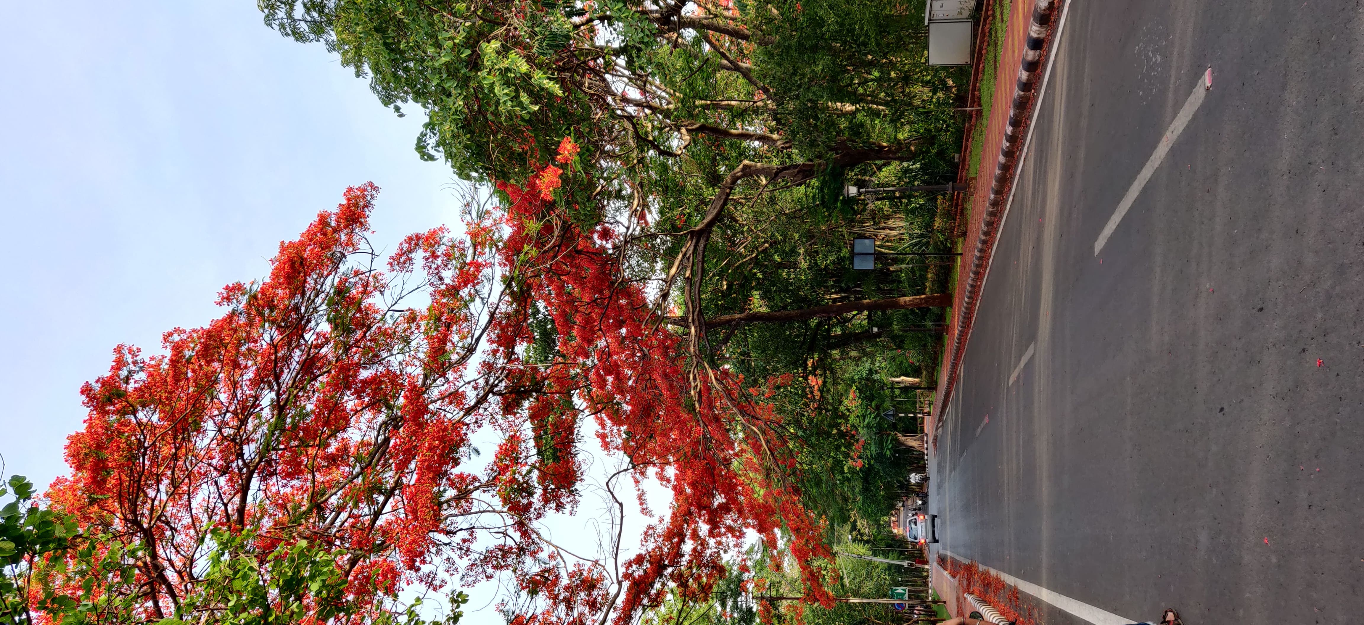 Maratha Mandal Engineering College Belgaum Gallery photo 16