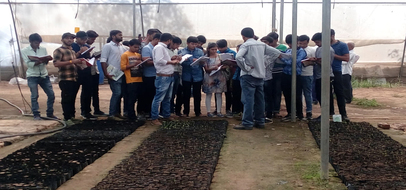 Madhav University Sirohi Extra Curriculars photo 4