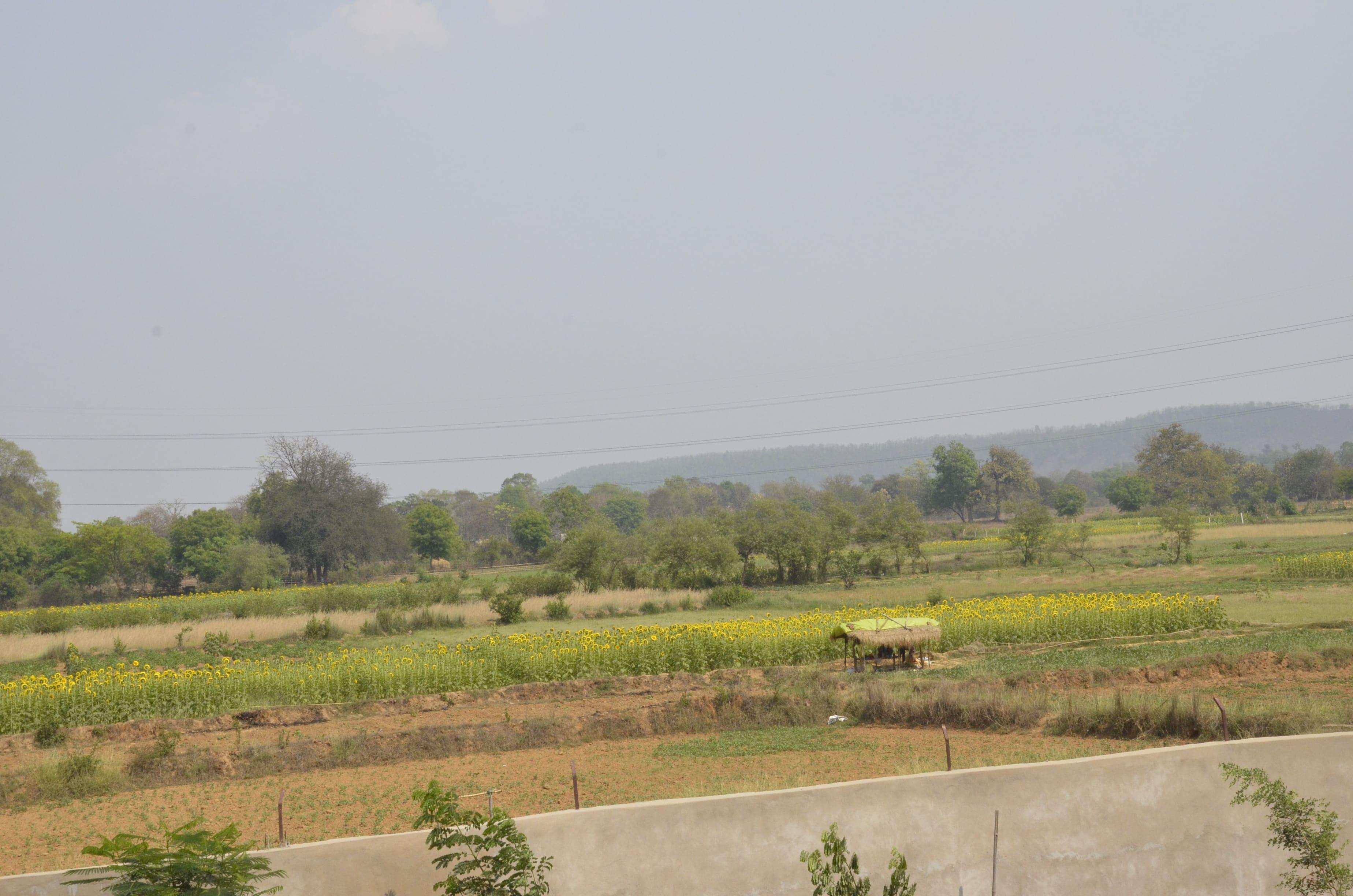 Dr. Ambedkar Memorial Institute of Information Technology and Management Science Rourkela Gallery section photo 12