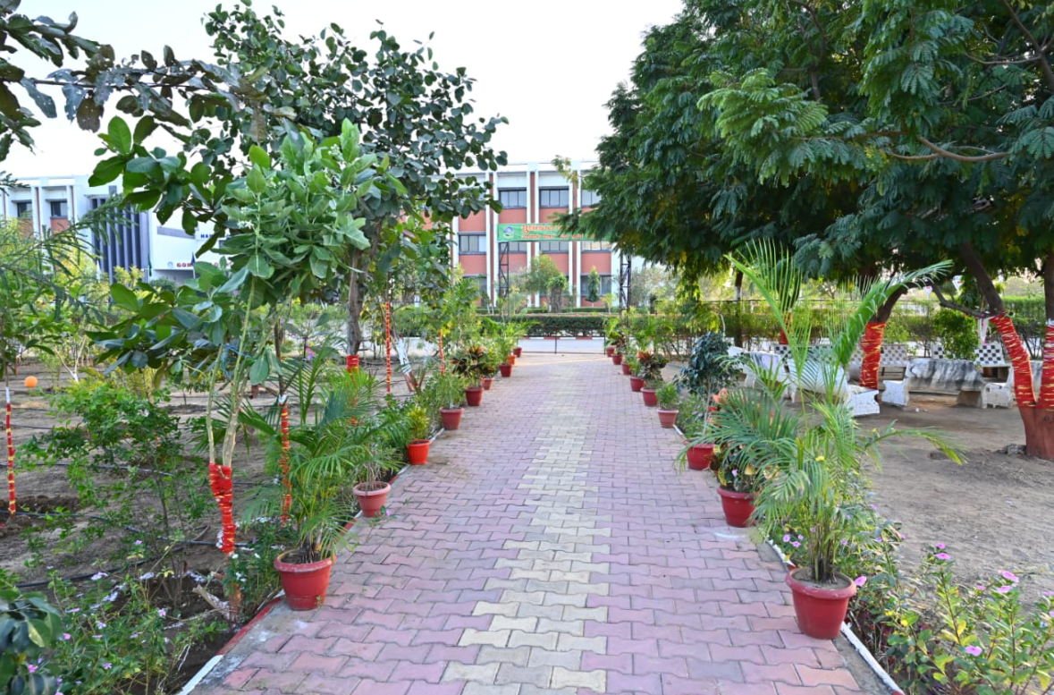 GGU Campus photo 7