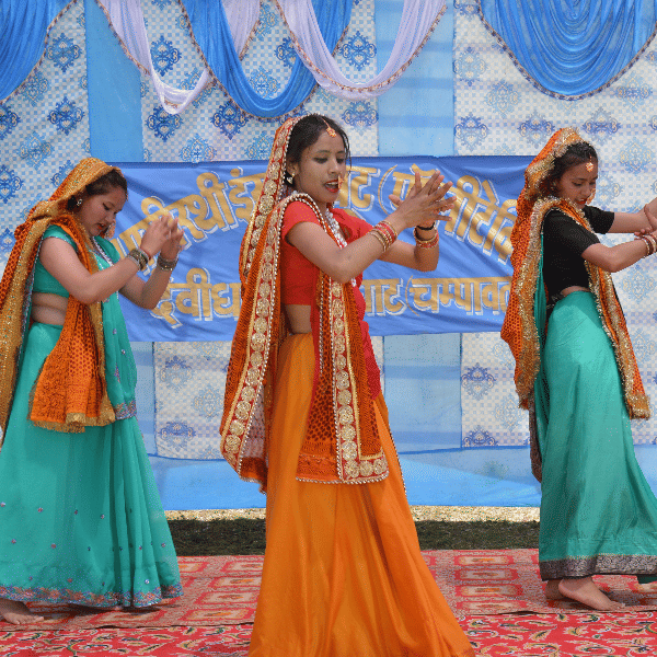 Bhagirathi Institute Lohaghat College events and activities photo 7