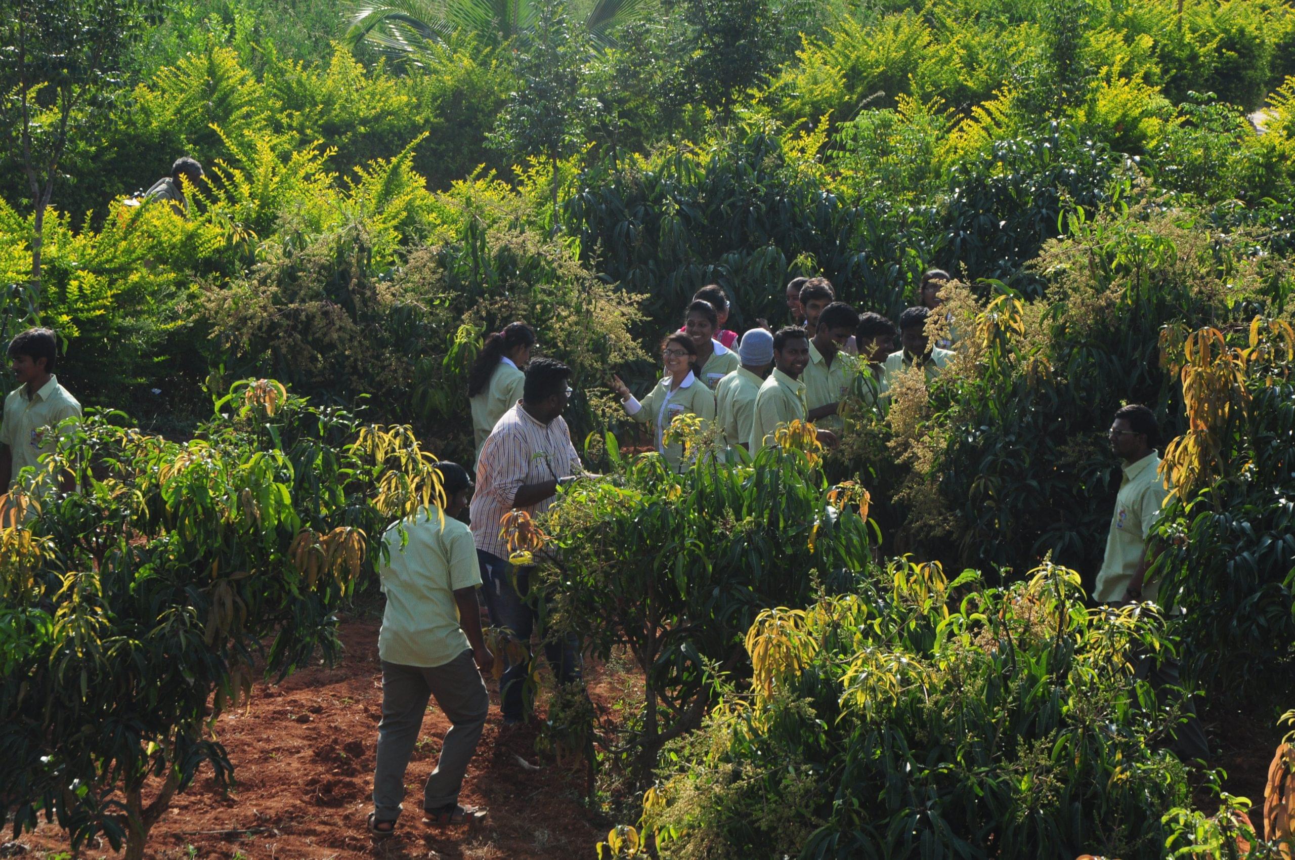 Sampoorna Group of Institutions Bangalore Extra Curriculars photo 12