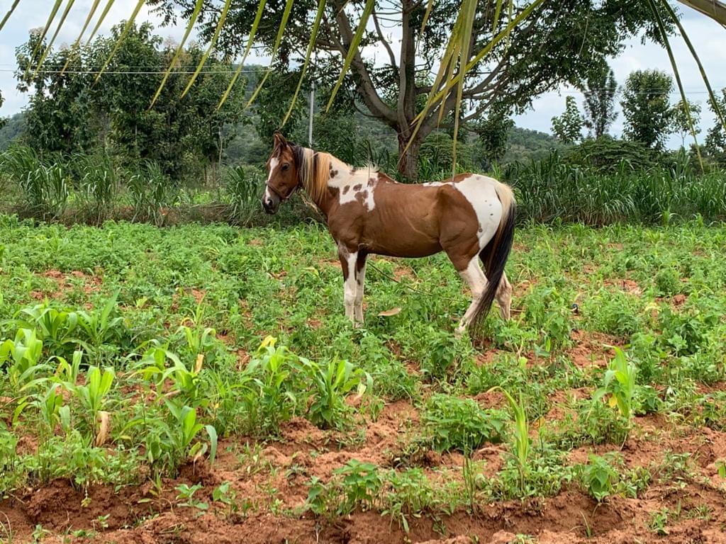 Sampoorna Group of Institutions Bangalore Campus photo 16