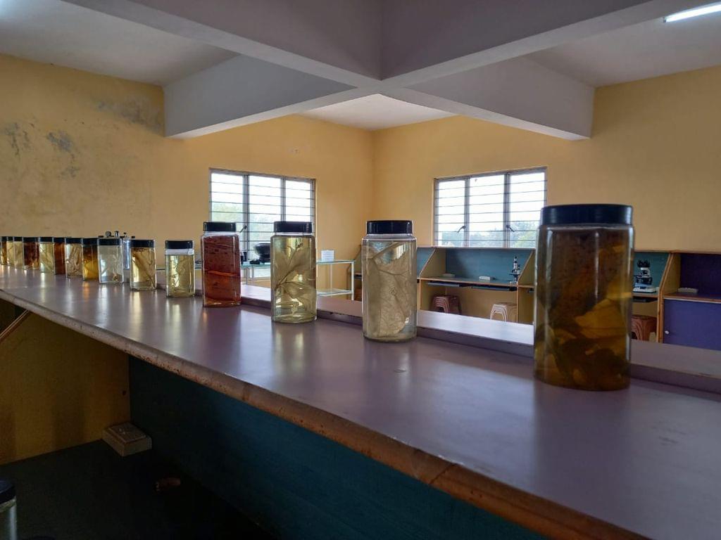 Sampoorna Group of Institutions Bangalore Campus photo 21