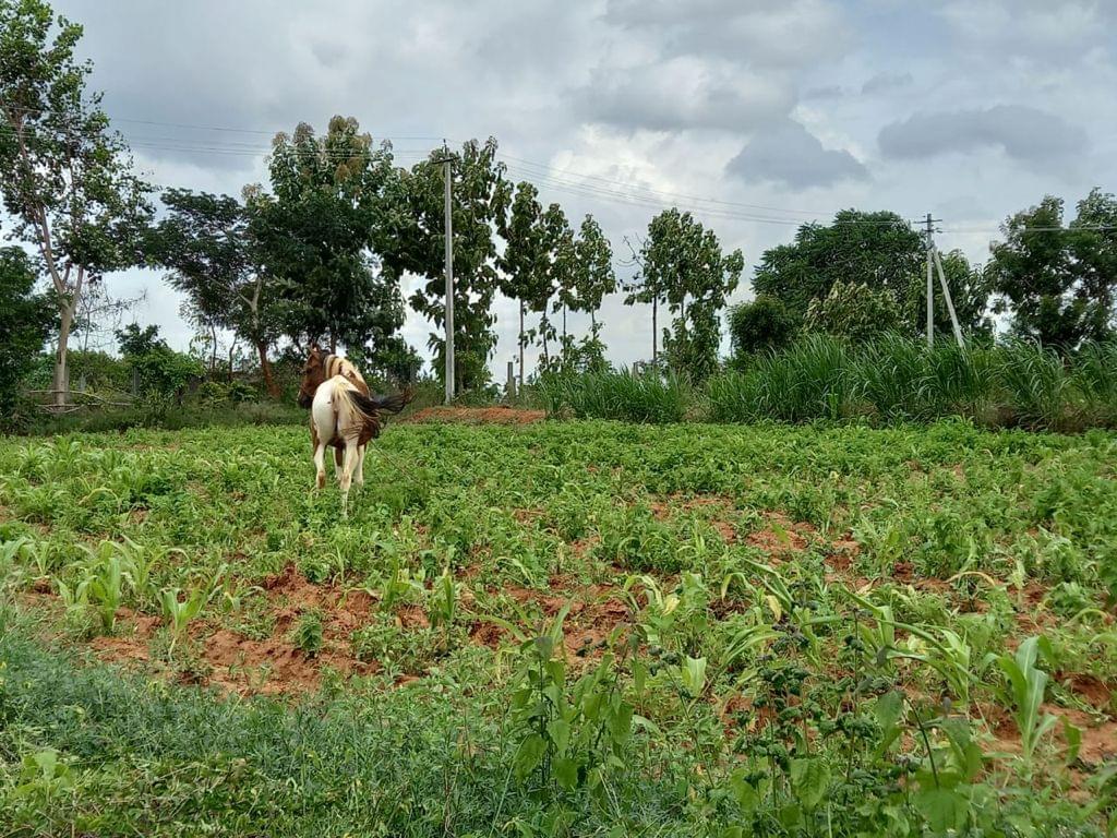 Sampoorna Group of Institutions Bangalore Campus photo 40