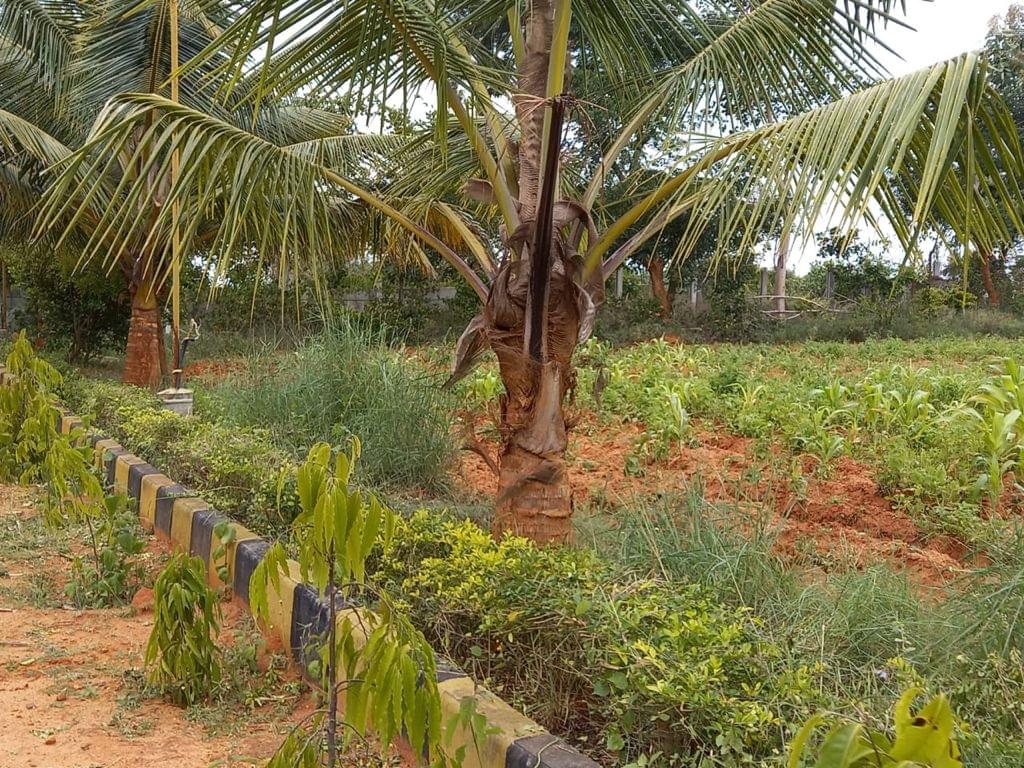 Sampoorna Group of Institutions Bangalore Campus photo 41