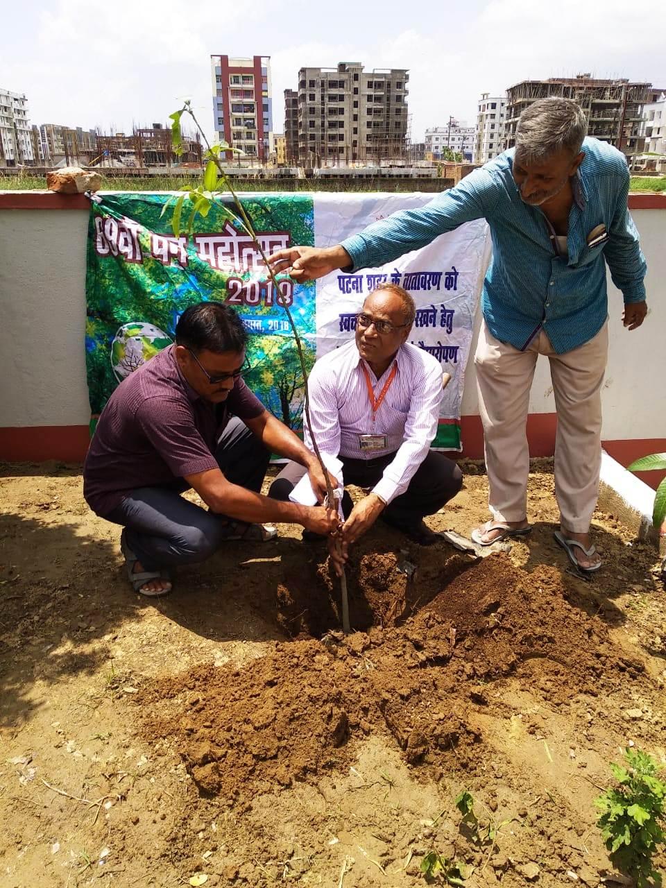 R.P. Sharma Institute of Technology Patna Van Mahaotsava and Plantation photo 4