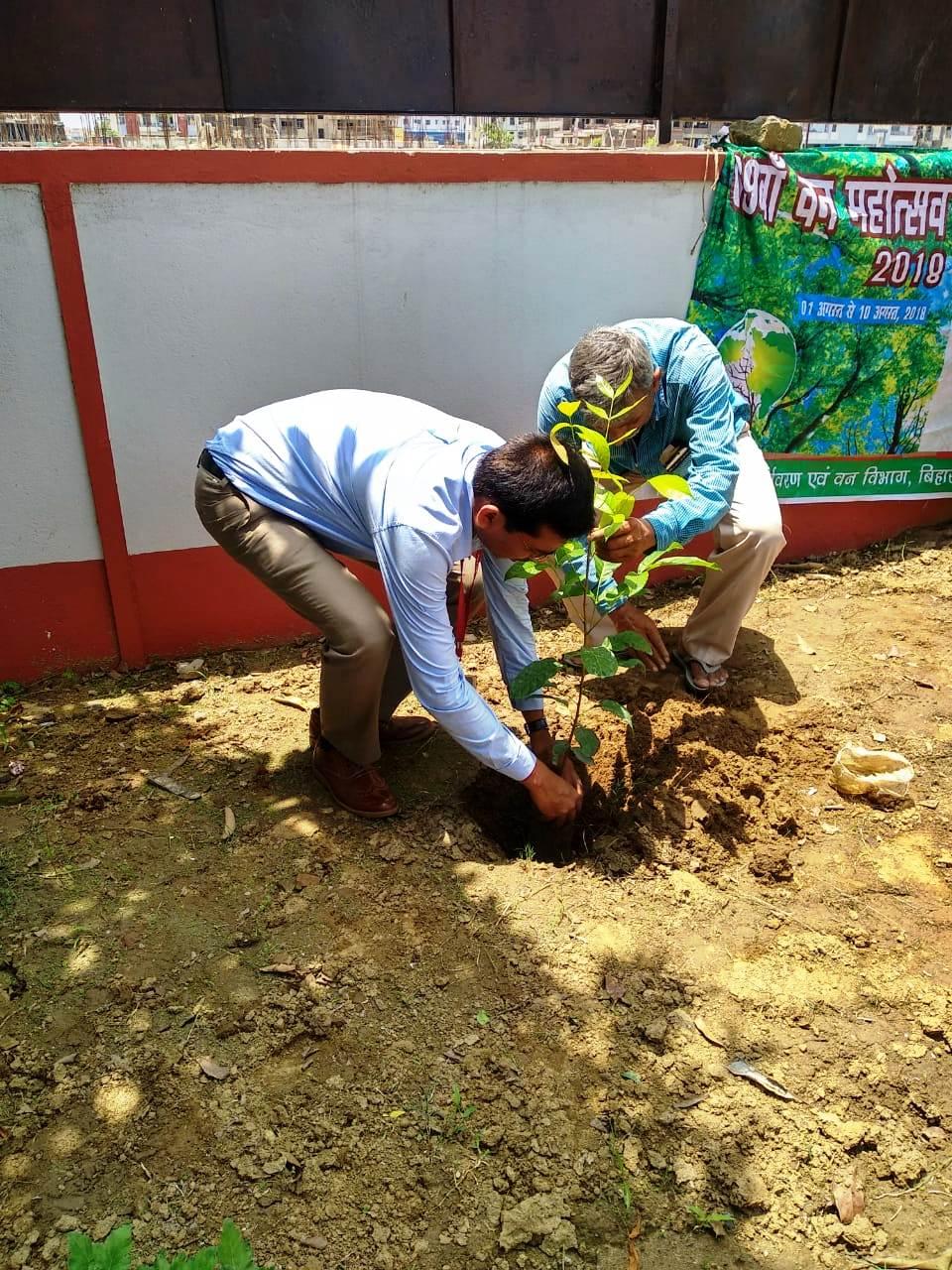 R.P. Sharma Institute of Technology Patna Van Mahaotsava and Plantation photo 5