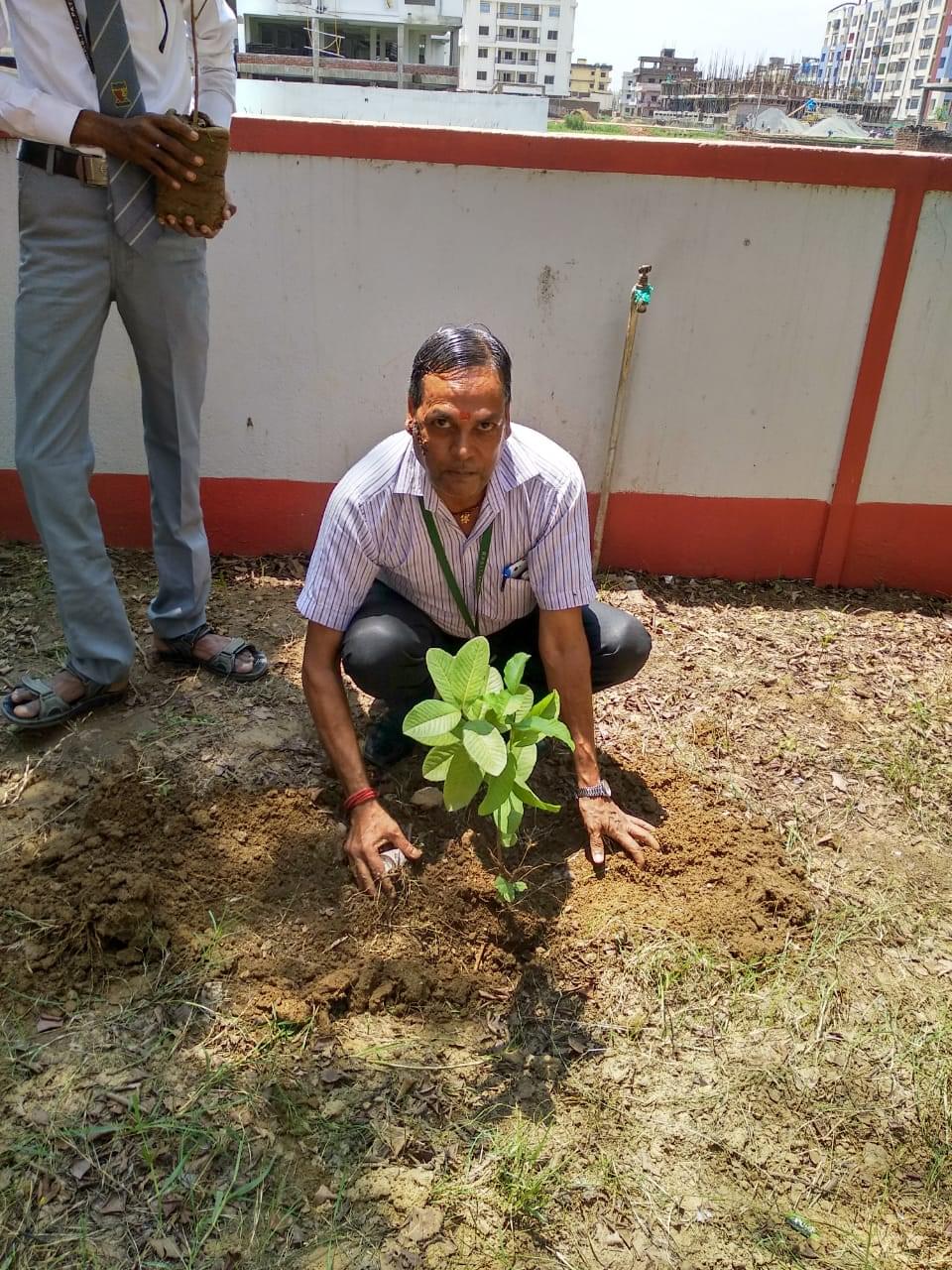 R.P. Sharma Institute of Technology Patna Van Mahaotsava and Plantation photo 14