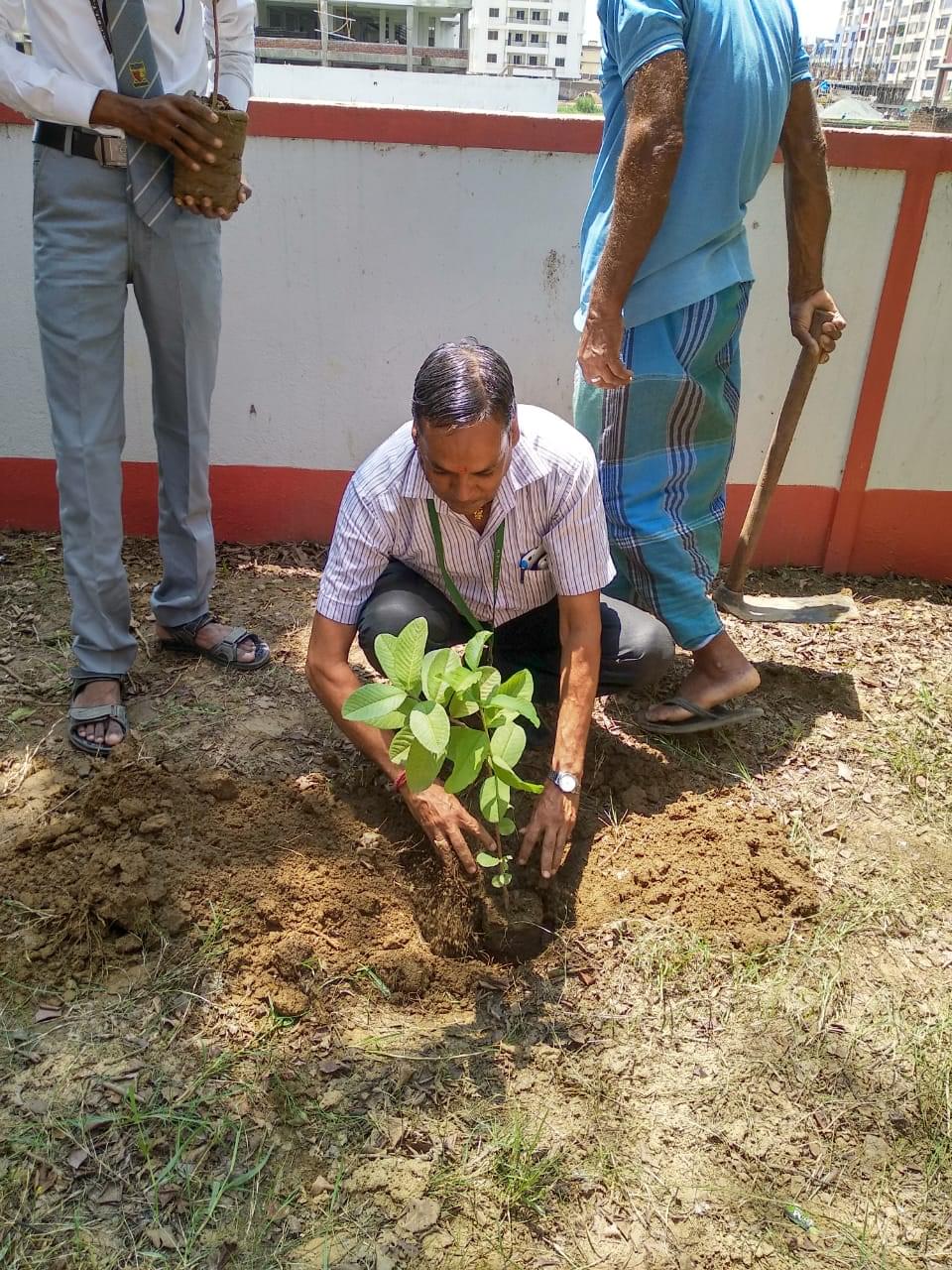 R.P. Sharma Institute of Technology Patna Van Mahaotsava and Plantation photo 16