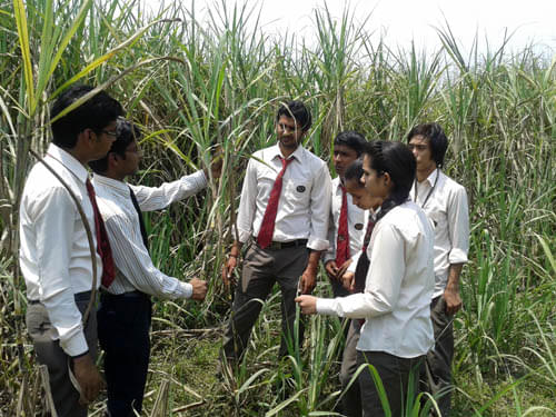 RCP Universe Group of Institutions Roorkee Infrastructure photo 5