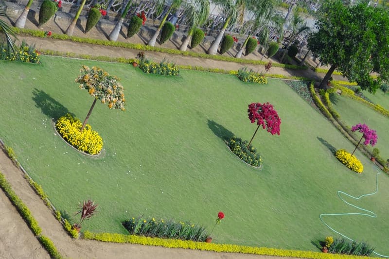 MITS Group of Institutions Bhubaneswar Campus photo 7