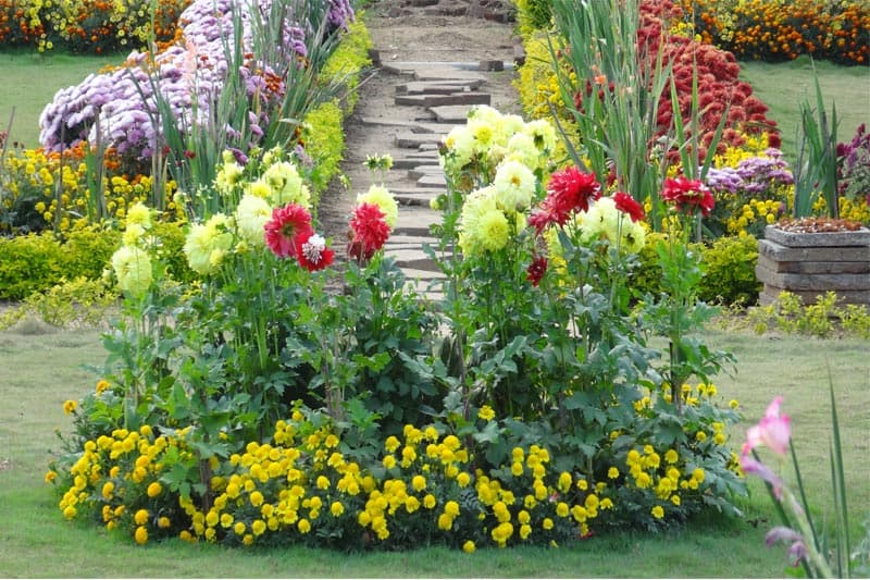 MITS Group of Institutions Bhubaneswar Campus photo 10