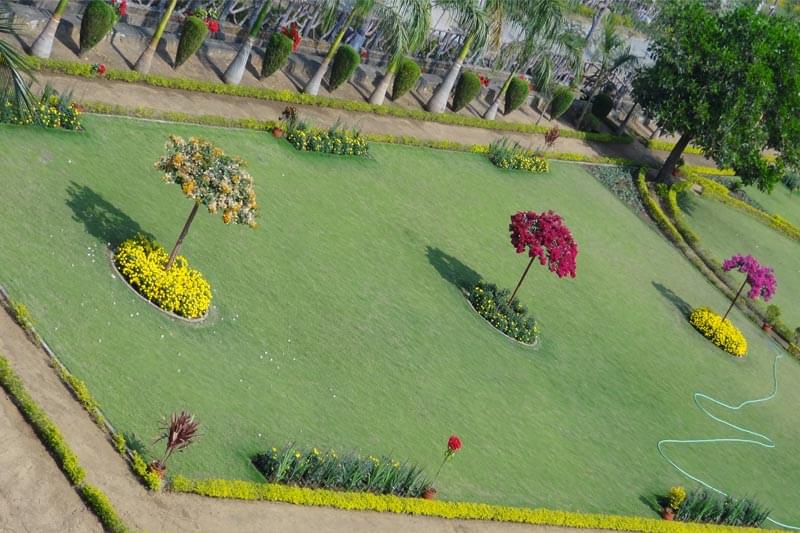 MITS Institute of Professional Studies Rayagada Campus photo 5