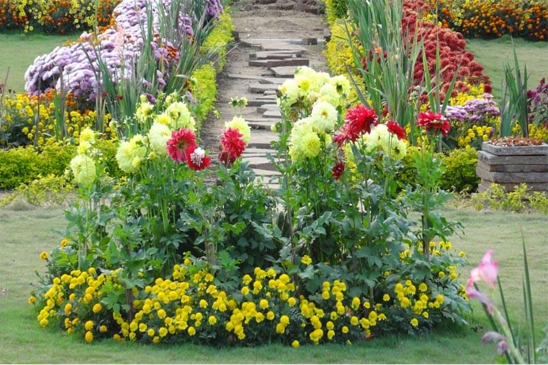 MITS Institute of Professional Studies Rayagada Campus photo 8