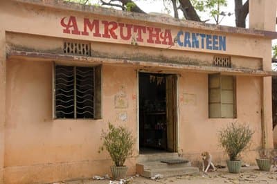 Singareni Collieries Women's Degree & PG College Kothagudem Campus photos photo 11