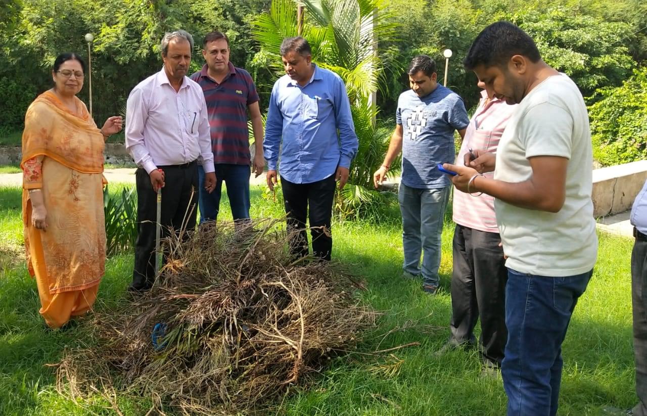 Directorate of Distance Education, University of Jammu Campus events photo 6