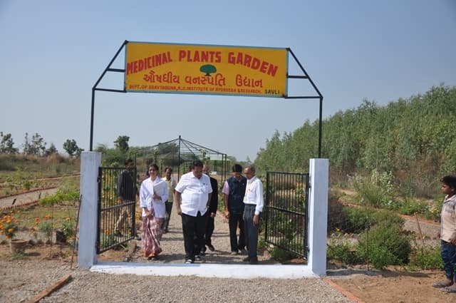 K. J. Institute of Ayurveda & Research Vadodara Campus photos photo 15