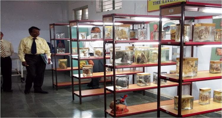 Bhabha University Bhopal Campus photo 19