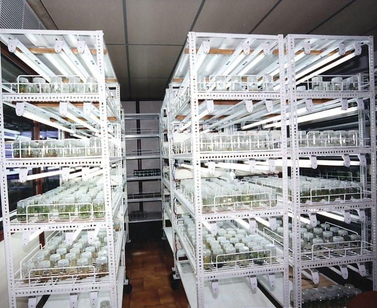 GRD Institute of Management Coimbatore College campus photos photo 16