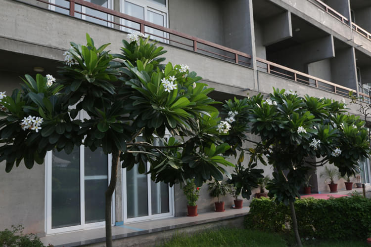 O.P. Jindal Global University, Jindal School of Banking & Finance Sonepat Campus & Facilities photo 12