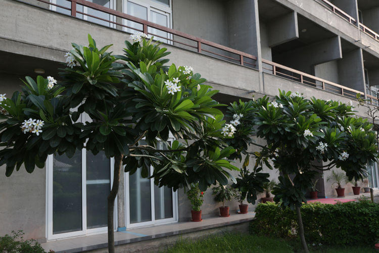 O.P. Jindal Global University, Jindal School of Psychology and Counselling Sonepat Campus & Facilities photo 11