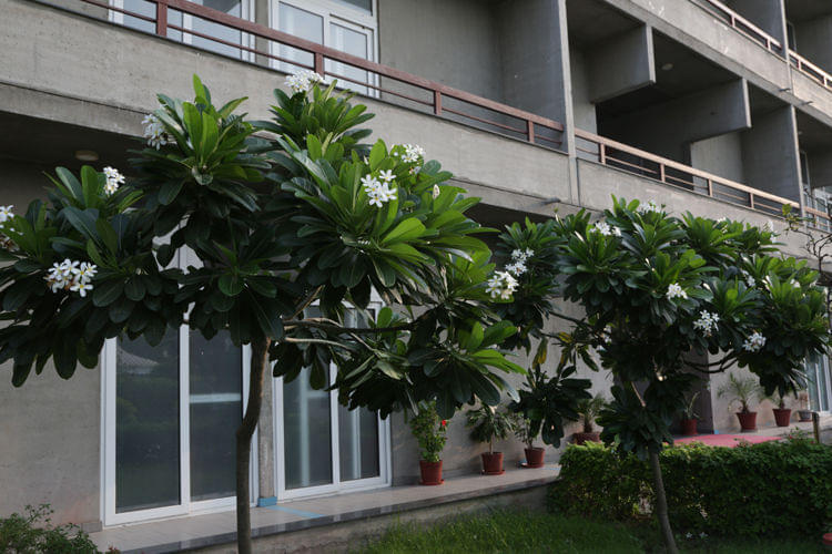 O.P. Jindal Global University, Jindal Global Business School Sonepat Campus & Facilities photo 6