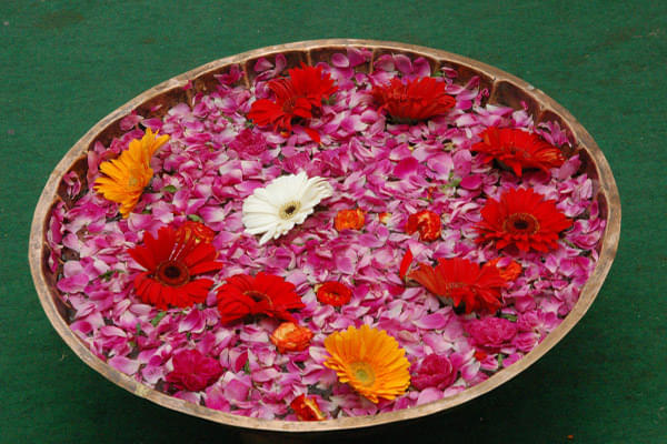 SSJ College of Pharmacy Hyderabad events photo 11