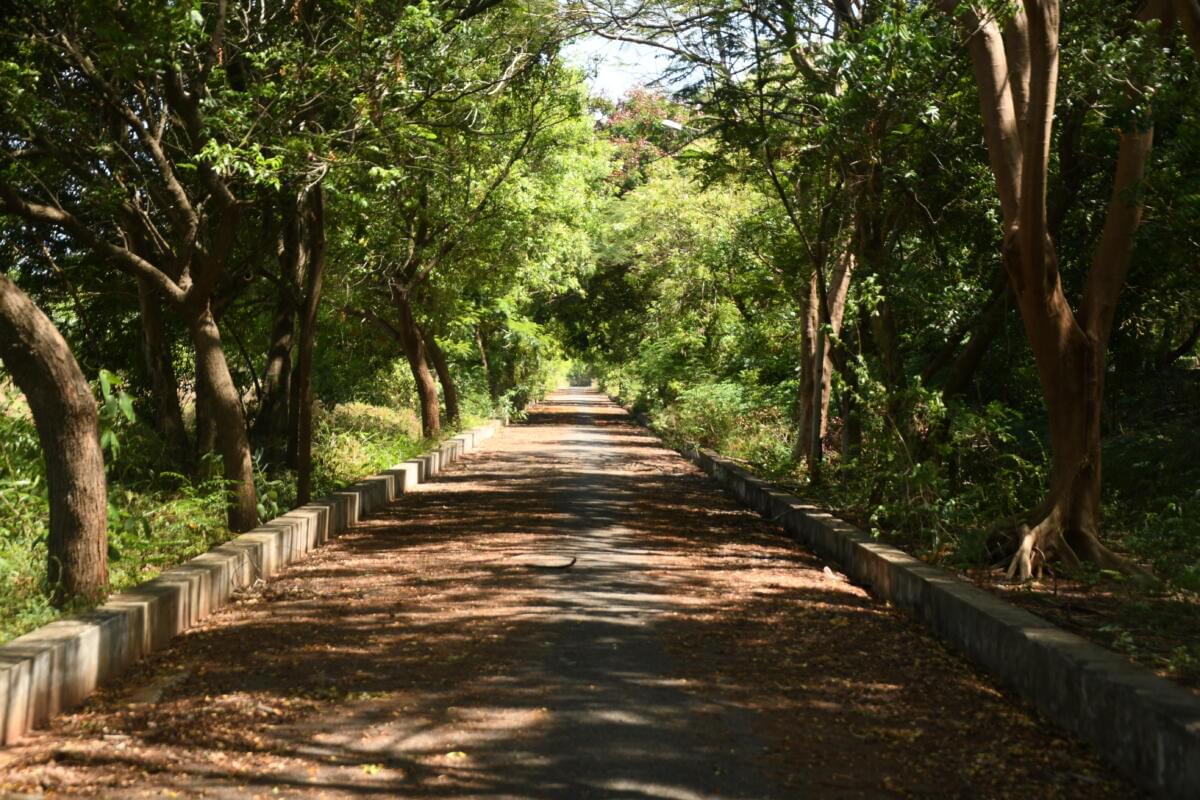 Dr. Ambedkar Government Law College Pondicherry Campus photo 7