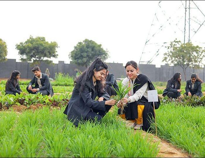 Avviare Educational Hub Noida Extra Curriculars photo 18