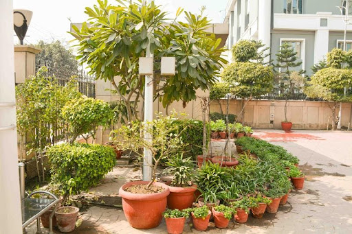 Asia Pacific Institute of Management New Delhi Campus Life photo 27