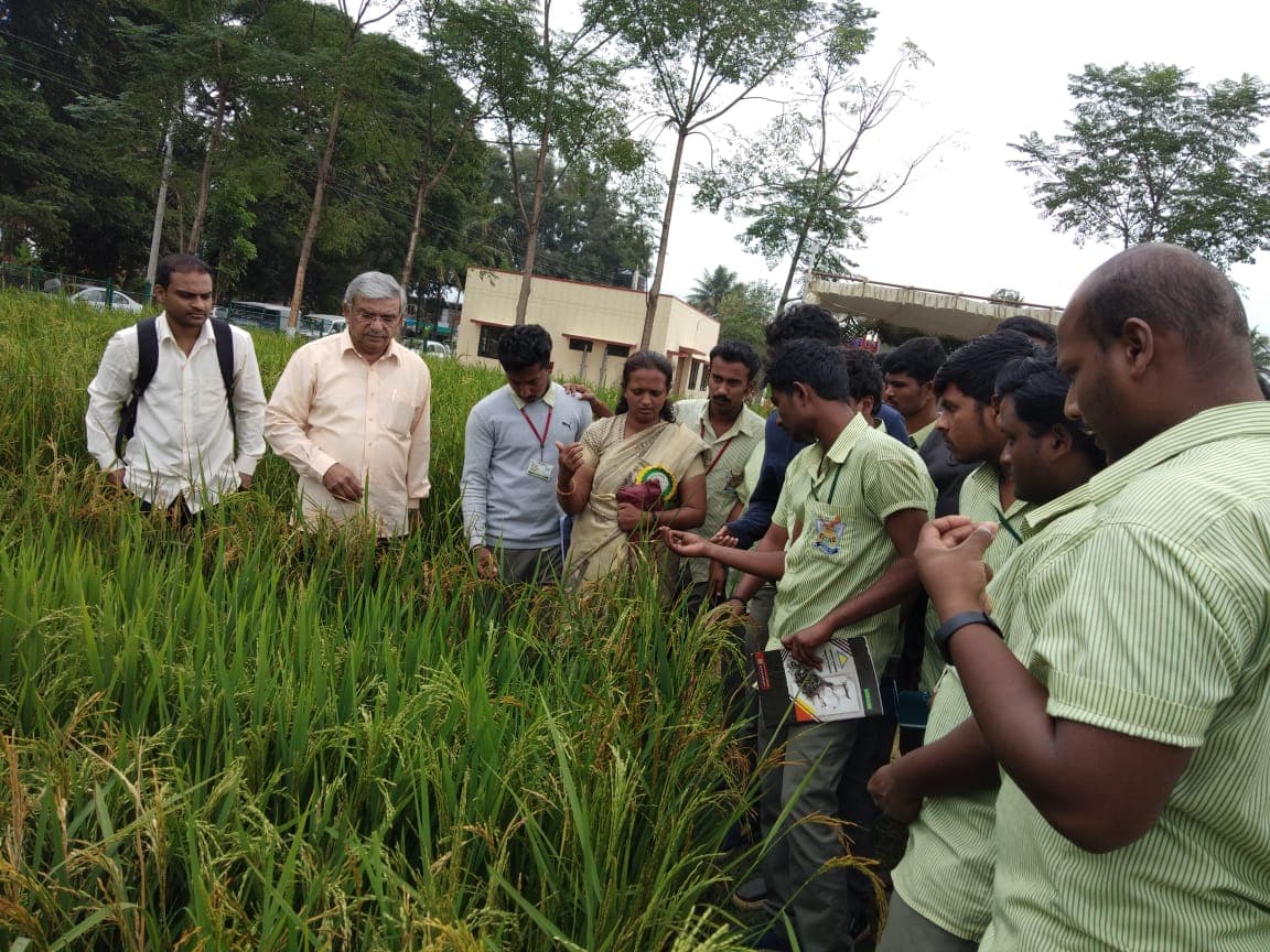 Sampoorna International Institute of Agriculture Sciences and Horticultural Technology Bangalore College photos photo 9