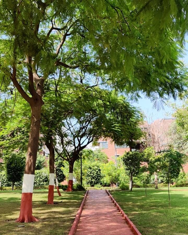 O.P. Jindal Global University, Jindal School of Public Health and Human Development Sonepat Campus photo 1