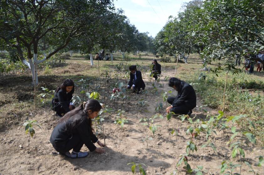 Institute of Media Management, Technology & Agro Sciences Dehradun Agriculture photo 2