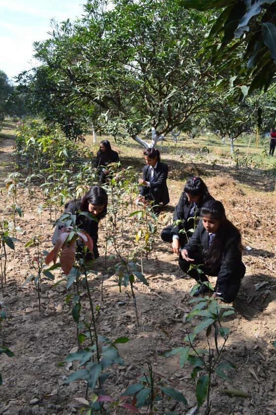 Institute of Media Management, Technology & Agro Sciences Dehradun Agriculture photo 1