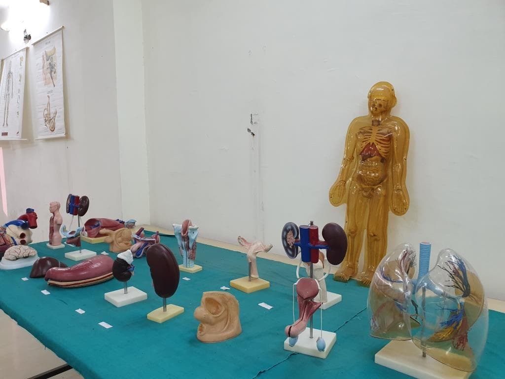 Krishna Institute of Pharmacy and Sciences Kanpur College photo 16