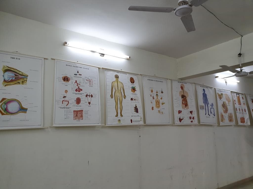 Krishna Institute of Pharmacy and Sciences Kanpur College photo 17