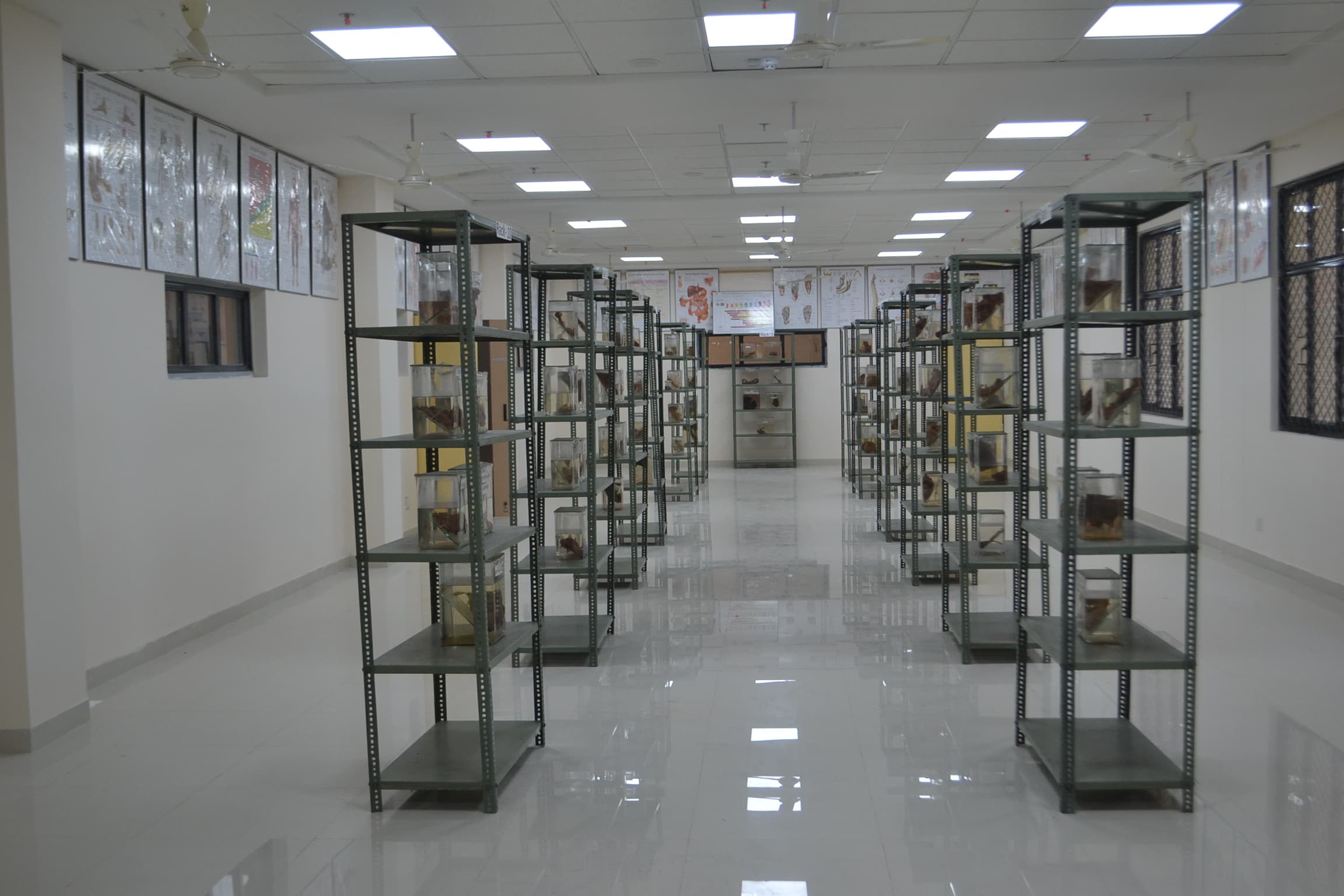 Government Medical College Barmer college photo 5