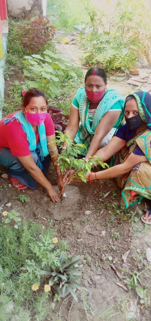 Shri Guru Nanak Dev PG College, Nanakmatta Udham Singh Nagar Campus photo 12
