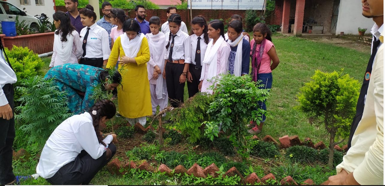 Nav Chetna College Dehradun Harela festival photo 3
