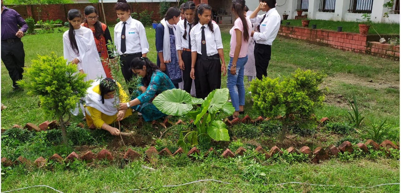 Nav Chetna College Dehradun Harela festival photo 5