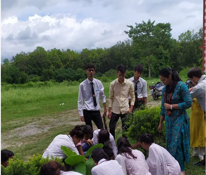 Nav Chetna College Dehradun Harela festival photo 6