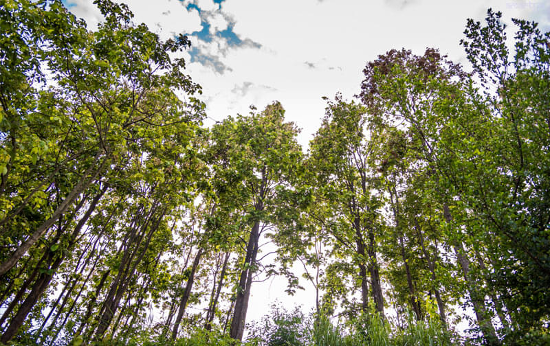 IIT Guwahati Campus Life photo 5