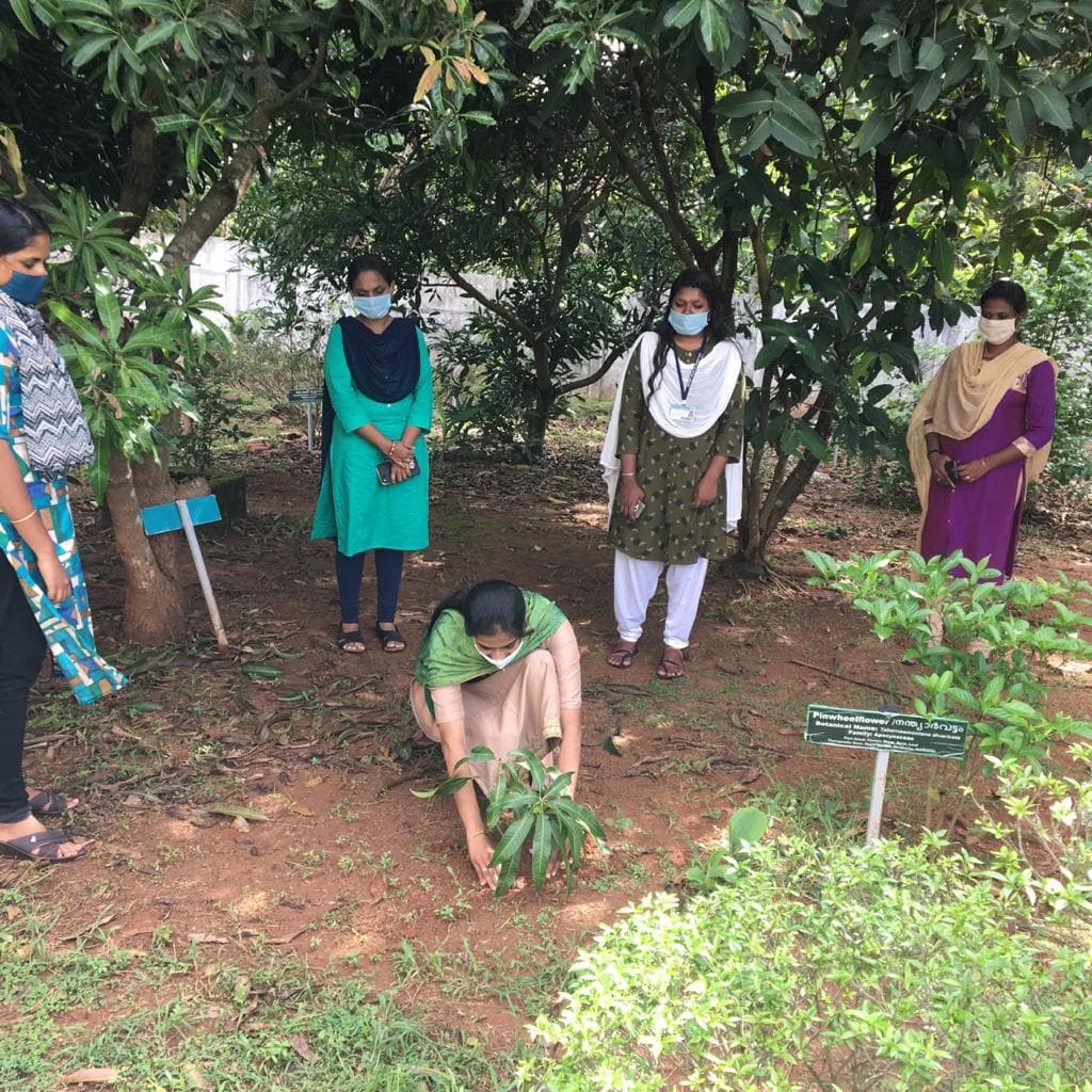 Westfort College Of Pharmacy Thrissur Environmental Day photo 1
