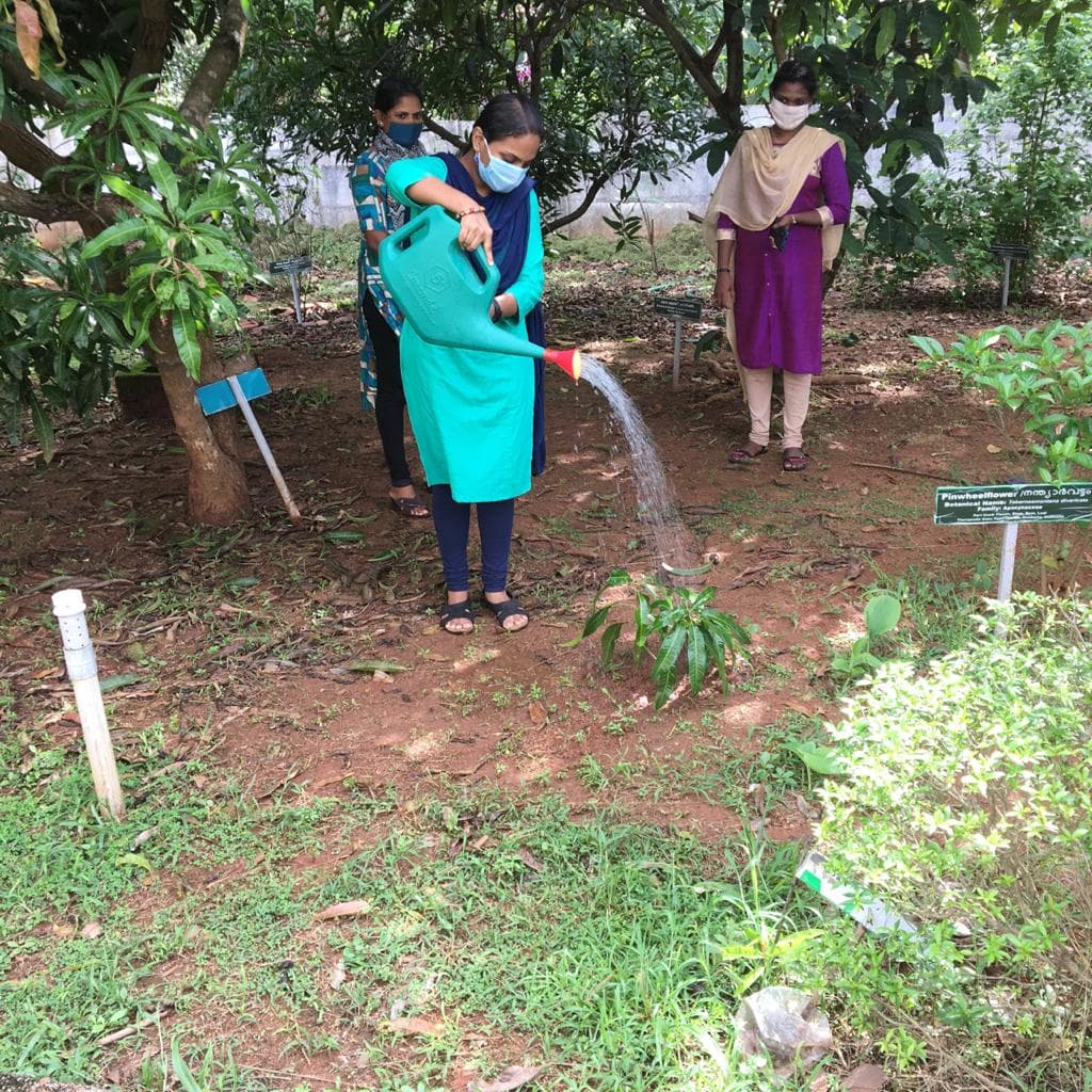 Westfort College Of Pharmacy Thrissur Environmental Day photo 3